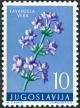 Colnect-5663-767-Lavender-Lavandula-angustifolia.jpg