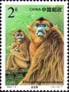 Colnect-2097-891-Golden-Snub-nosed-Monkey-Rhinopithecus-roxellanae.jpg