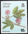 Colnect-2236-932-Mimosa-pudica.jpg