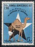 Colnect-3907-340-Boy-milking-camel-star.jpg