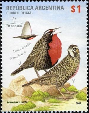Colnect-1429-154-Long-tailed-Meadowlark-Sturnella-loyca.jpg