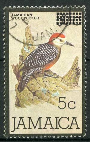 Colnect-1506-958-Jamaican-Woodpecker-Melanerpes-radiolatus-overprinted.jpg