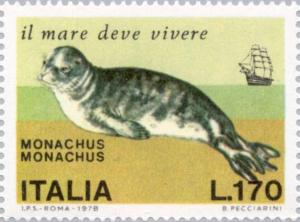 Colnect-174-110-Mediterranean-Monk-Seal-Monachus-monachus.jpg