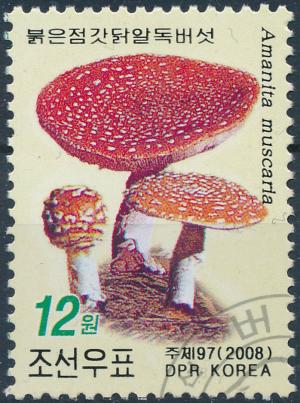 Colnect-3269-520-Fly-agaric-mushroom-amanita-muscaria.jpg