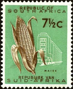 Colnect-4014-289-Maize-Zea-mays.jpg
