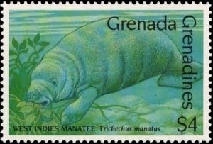 Colnect-6014-136-West-Indian-Manatee-Trichechus-manatus.jpg