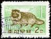 Colnect-1675-777-Raccoon-Dog-Nyctereutes-procyonoides-.jpg