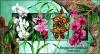 Colnect-2336-165-Native-Orchids.jpg