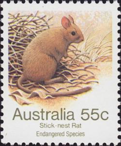 Colnect-3566-976-Greater-Stick-nest-Rat-Leporillus-conditor.jpg