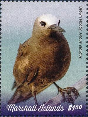 Colnect-5995-542-Brown-Noddy-Anous-stolidus.jpg