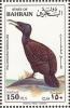 Colnect-1463-913-Socotra-Cormorant-nbsp-Phalacrocorax-nigrogularis.jpg