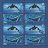 Colnect-1055-478-Killer-Whale-Orcinus-orca-Humpback-Whale-Megaptera-novae.jpg