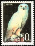 Colnect-1561-879-Snowy-Owl-Bubo-scandiacus.jpg