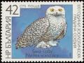 Colnect-1976-620-Snowy-Owl-Nyctea-scandiaca.jpg