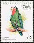 Colnect-2133-936-Cuban-Amazon-Amazona-leucocephala.jpg