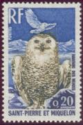 Colnect-875-195-Snowy-Owl-Bubo-scandiacus.jpg
