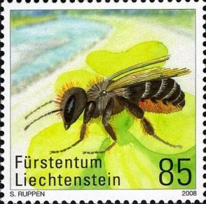 Colnect-1141-679-Bee-Osmia-brevicornis.jpg