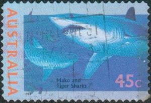 Colnect-1908-092-Shortfin-Mako-Isurus-oxyrhynchus-Tiger-Shark-Galeocerdo-.jpg
