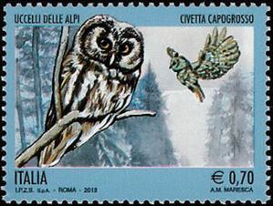 Colnect-2416-795-Boreal-Owl-Aegolius-funereus.jpg