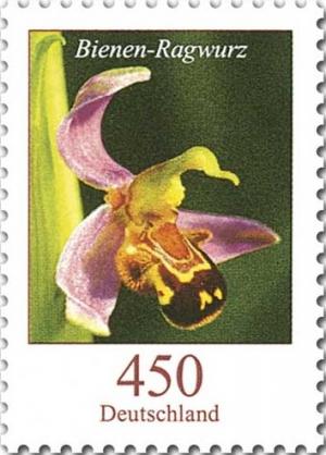 Colnect-2990-791-Ophrys-apifera.jpg
