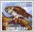 Colnect-3986-267-Boreal-Owl-Aegolius-funereus.jpg