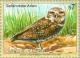 Colnect-139-108-Burrowing-Owl-Athene-cunicularia.jpg