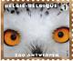 Colnect-1572-791-Snowy-Owl-Bubo-scandiacus-.jpg