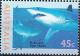 Colnect-2093-473-Shortfin-Mako-Isurus-oxyrhynchus-Tiger-Shark-Galeocerdo-.jpg