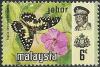 Colnect-1392-486-Lime-Swallowtail-Papilio-demoleus-ssp-malayanus.jpg