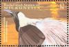 Colnect-1620-581-Emperor-Bird-of-paradise-Paradisaea-guilielmi.jpg