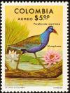 Colnect-2504-976-Purple-Gallinule-Porphyrula-martinica-Water-Lily.jpg