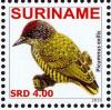 Colnect-3837-137-Golden-spangled-Piculet%C2%A0%C2%A0%C2%A0%C2%A0Picumnus-exilis.jpg