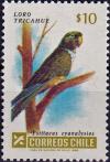 Colnect-4704-359-Parrot-Psittacus-cyanalysios.jpg