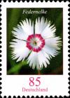 Colnect-5205-815-Dianthus-plumarius---Common-Pink.jpg