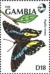 Colnect-5778-798-Papilio-nireus.jpg