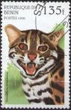 Colnect-591-246-Leopard-Cat-Prionailurus-bengalensis.jpg