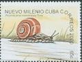 Colnect-1060-779-Cuban-Land-Snail-Polymita-picta-ssp-roseolimbata.jpg
