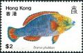 Colnect-1256-039-Blue-barred-Parrotfish-Scarus-ghobban.jpg