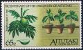 Colnect-3441-496-Breadfruit-plants-Artocarpus-altilis.jpg