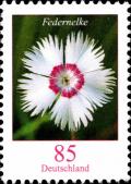 Colnect-5205-815-Dianthus-plumarius---Common-Pink.jpg