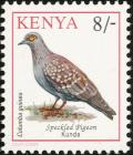 Colnect-753-976-Speckled-Pigeon-Columba-guinea.jpg