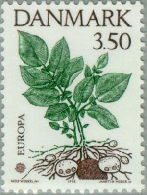 Colnect-157-246-Potato-plant.jpg