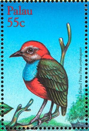 Colnect-1638-076-Red-bellied-Pitta%C2%A0Pitta-erythrogaster.jpg
