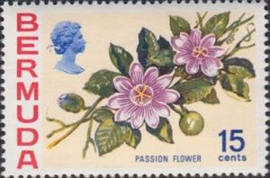 Colnect-2073-054-Passion-flower.jpg