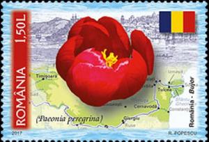 Colnect-3950-367-Romania---Paeony-Paeonia-peregrina.jpg