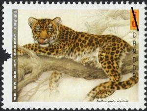 Colnect-573-870-Amur-leopard-Panthera-pardus-orientalis.jpg