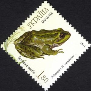 Colnect-944-551-Edible-Frog-Pelophylax-kl-esculentos.jpg