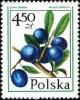 Colnect-1998-529-Prunus-Spinosa.jpg