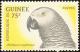 Colnect-2809-900-African-Grey-Parrot-Psittacus-erythacus.jpg