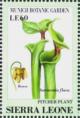 Colnect-4207-953-Pitcher-plant-Sarracenia-flava.jpg